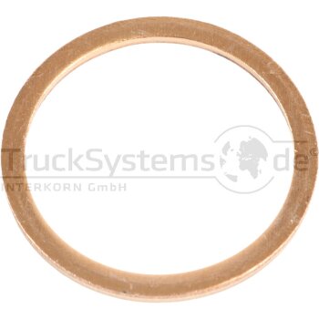 Kupferdichtring d: 24mm, D: 29mm, S:2mm
