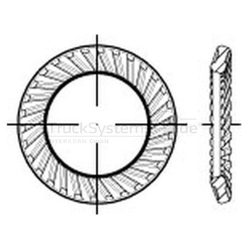 Schnorrscheibe,DIN88120,17x24x1,3 VE100