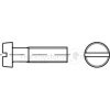 Schlitzschr.Zyl.DIN84,VZ,M05x040,VE1