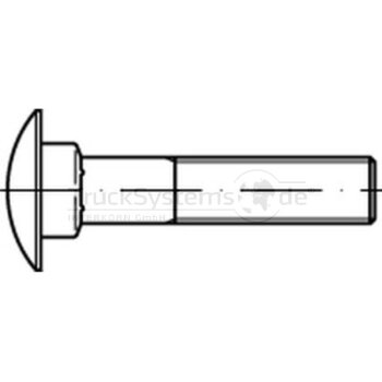 Schlossschraube,DIN603,V2A,M06x030,VE:1