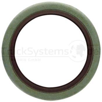 Elring Dichtring - 153.260 - 153260