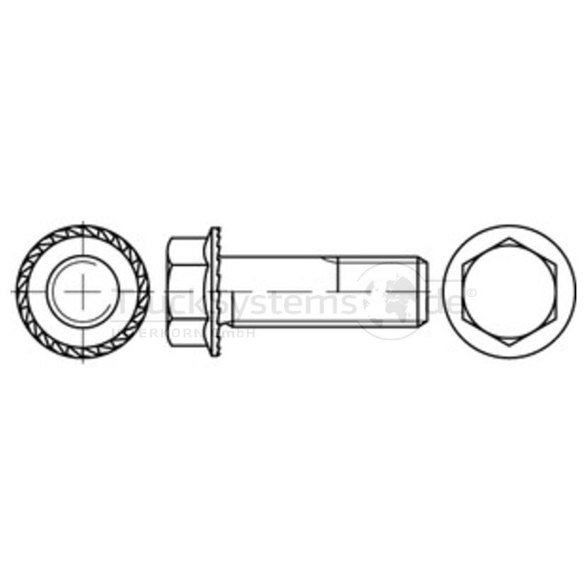 6kt.Sperrz.Schraube,DIN88933,VZ,M08x012