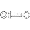 6kt.Sperrz.Schraube,DIN88933,VZ,M10x030