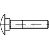 Schlossschraube,DIN603,V2A,M10x030,VE:1