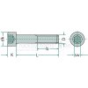 Zyl.Schr.In6kt,DIN912,V2A,M10x060,VE:1