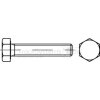 6kt.-Schraube,DIN933,10.9,VZ,08x025,VE:1