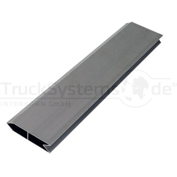 Einstecklatte-CSV-PRF, 100 x 25 x 3250mm