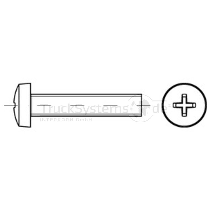 Linsenschr,DIN7985,VZ,PH3,M06x030,VE1