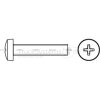 Linsenschr,DIN7985,VZ,PH3,M06x030,VE1