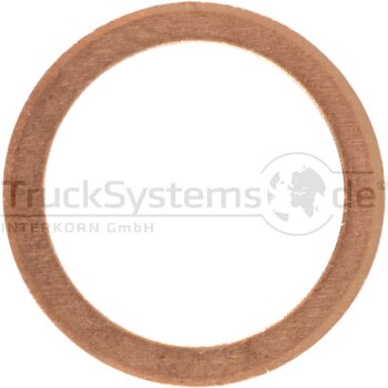 Elring Dichtring - 031.046 - 031046