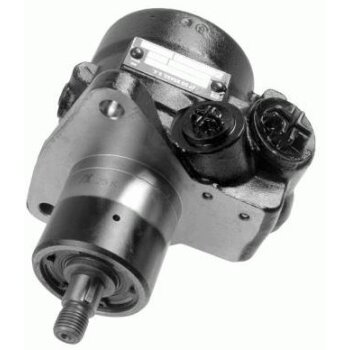 ZF Hydraulikpumpe Lenkhilfspumpe 7673955154