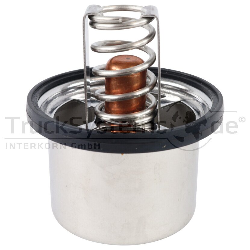 Thermostat 91 °C