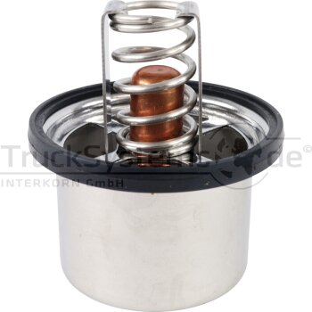 Thermostat 91 °C