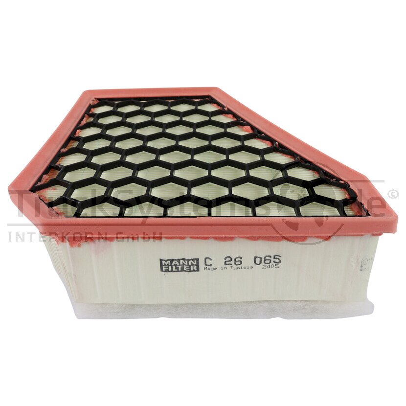 MANN-FILTER Luftfilter C 26 065 - C26065 für 1395975080