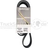 Dayco Keilrippenriemen 8PK1590HD - 8PK1590HD