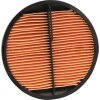 MANN-FILTER Luftfilter CF2420 - CF2420
