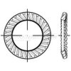 Schnorrscheibe,DIN88120,VZ,17x24x1,3,VE1
