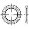 Schnorrscheibe,DIN88121,VZ,17x24x2,0,VE1