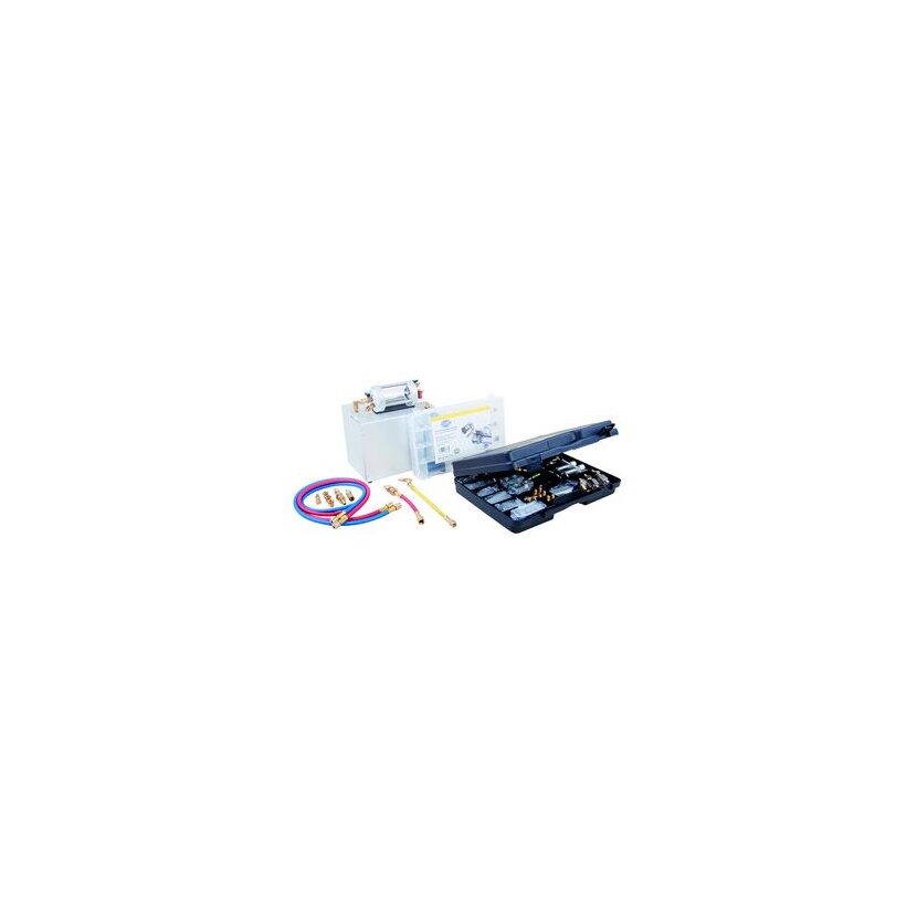 Hella Spülkit 8PE 179 500-151 - 8PE179500151 inklusive Adaptersatz+ Kompressorfilte - Spülset R134a Spülgerät