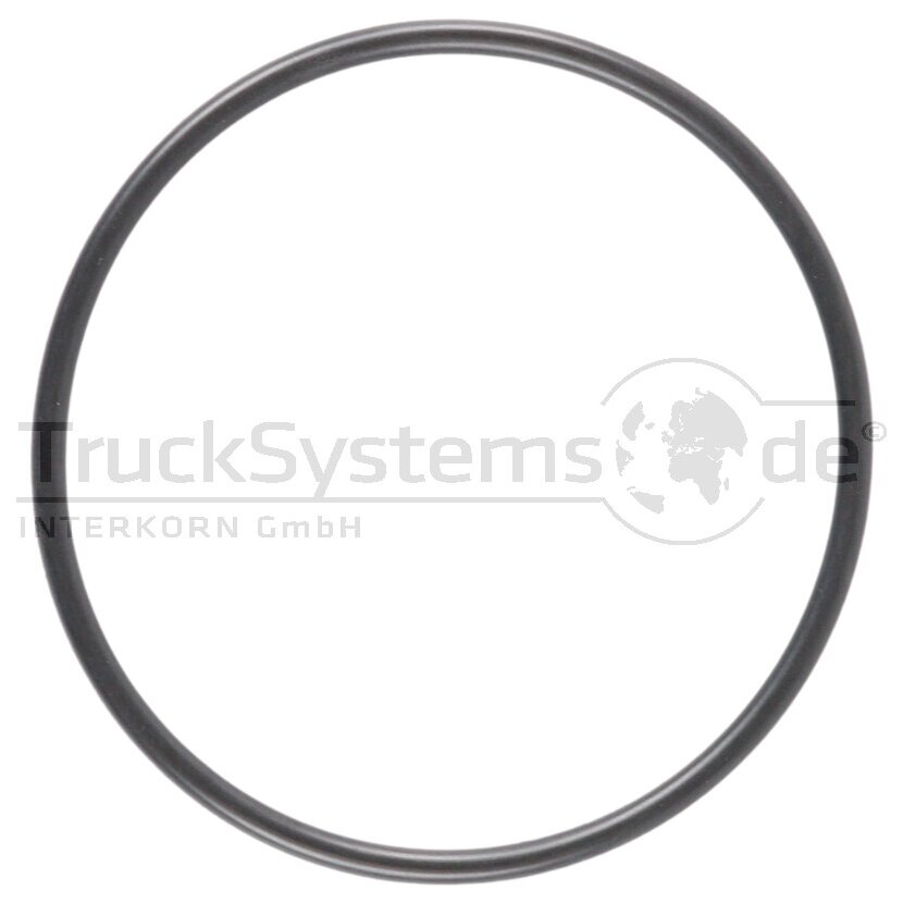 WEBASTO Runddichtring DIN 3770 59,4x2,8 A-NB 60 - 1319706A