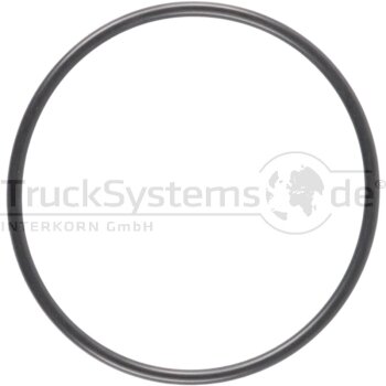 WEBASTO Runddichtring DIN 3770 59,4x2,8 A-NB 60 - 1319706A