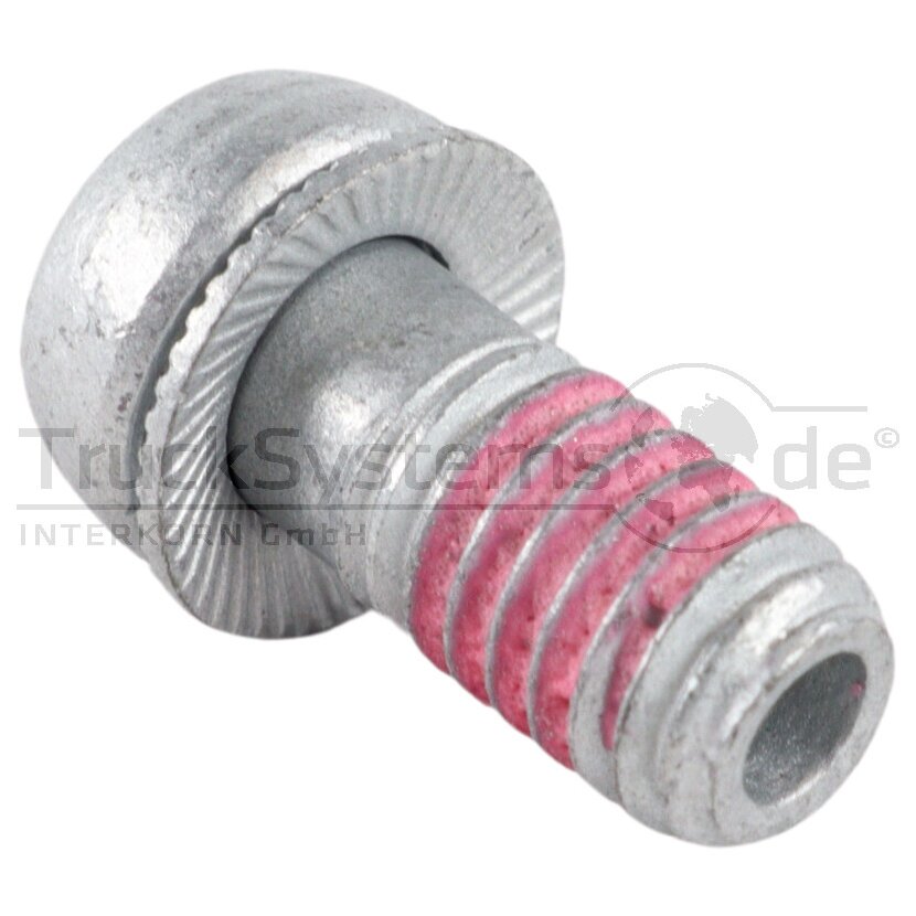 Tip Top Hohlschraube einzeln aus Ventilkit - 589 5441