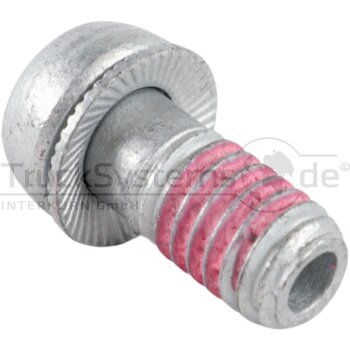 Tip Top Hohlschraube einzeln aus Ventilkit - 589 5441