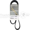 Dayco Keilrippenriemen 8PK1165HD - 8PK1165HD