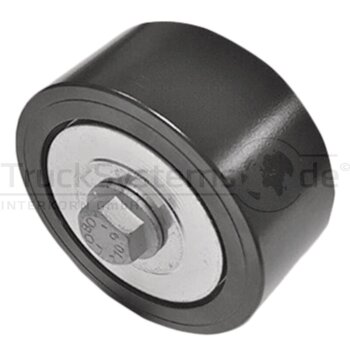 Dayco Umlenk-/Fuehrungsrolle, Keilrippenriemen - APV3229