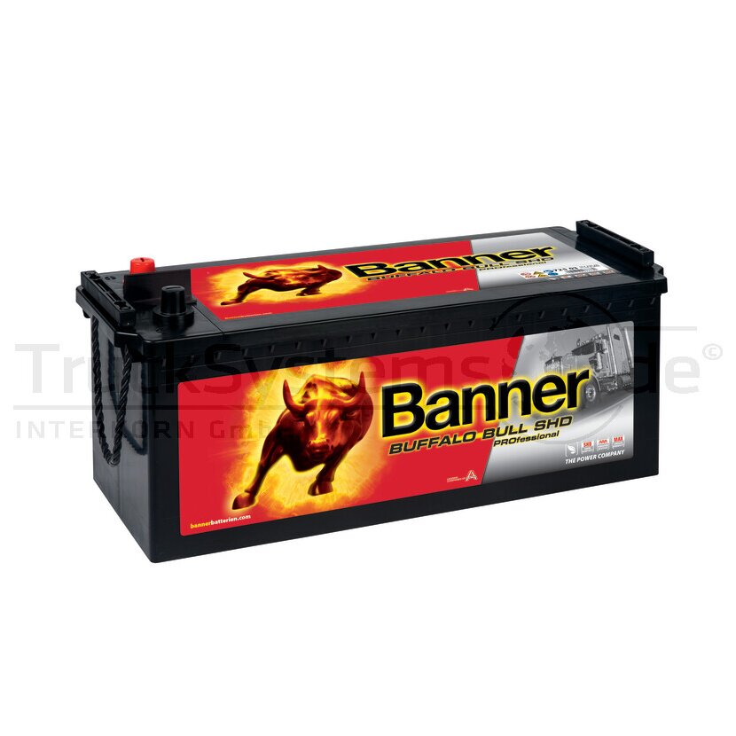 Banner Starterbatterie Banner 12V 225Ah - 018725030101