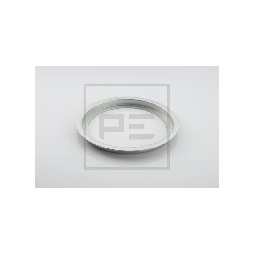 PE Automotive Abdeckblech, Staubschutz-Radlager - passend für 016.194-00A - 01619400A - 942 356 00 27