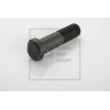 PE Automotive Radbolzen - passend f&uuml;r 017.060-00A -...