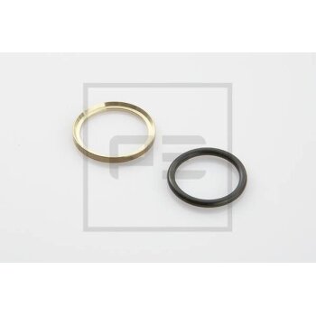 PE Automotive Druckring - passend für 076.244-00A -...