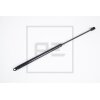 PE Automotive Gasfeder - passend für 100.047-00A - 10004700A - 0 758 296