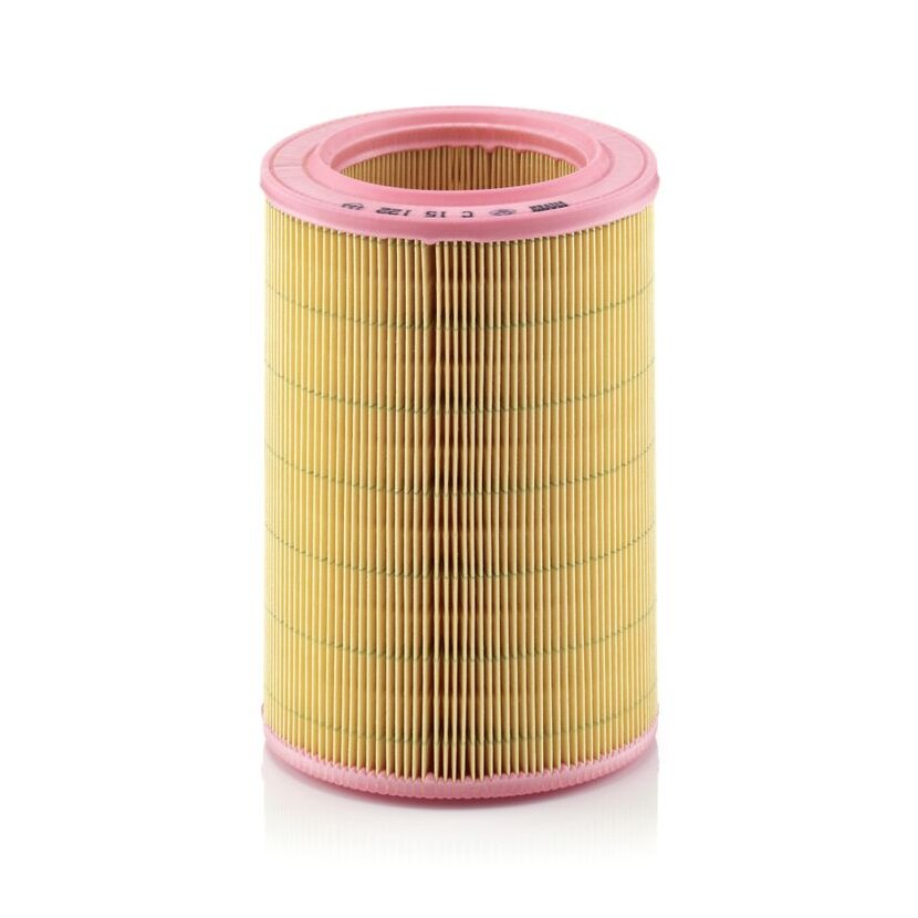 MANN-FILTER Luftfilter C 15 122 - C15122 für 77 00 858 930