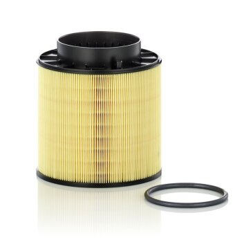 MANN-FILTER Luftfilter C 16 114/2 x - C16114/2x für...