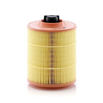 MANN-FILTER Luftfilter C 16 142/2 - C16142/2 für...