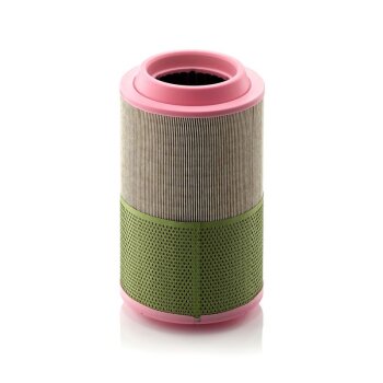 MANN-FILTER Luftfilter C 22 526 - C22526 für...