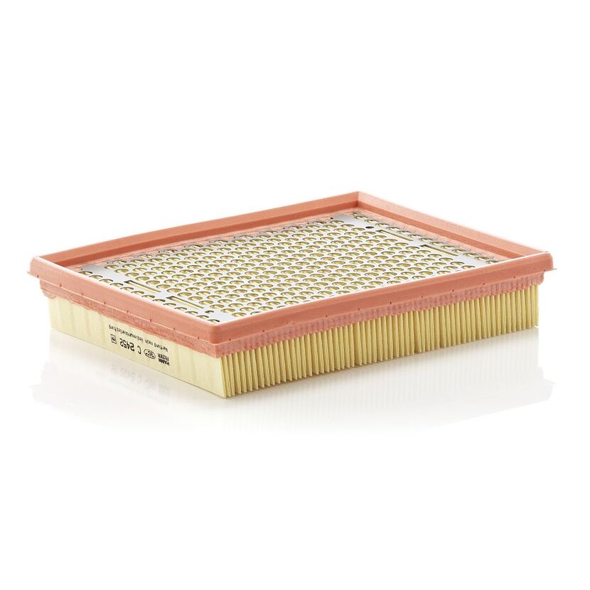 MANN-FILTER Luftfilter C 2452 - C2452 für 25099149