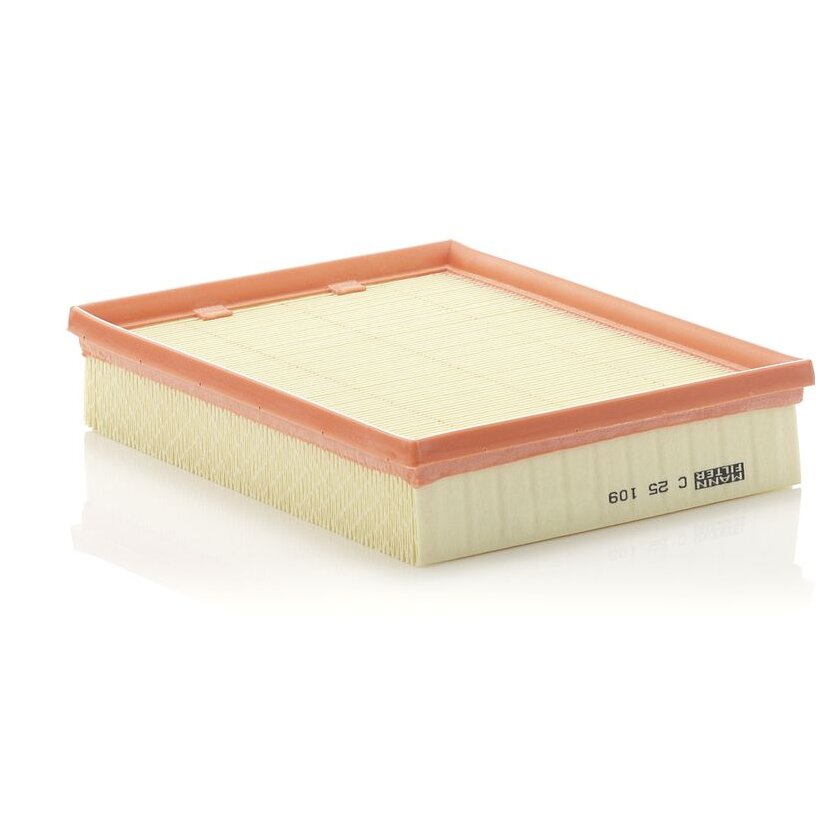 MANN-FILTER Luftfilter C 25 109 - C25109 für 82 00 576 596