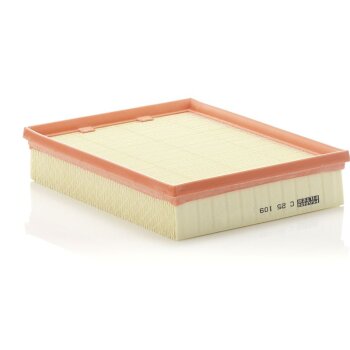 MANN-FILTER Luftfilter C 25 109 - C25109 für 82 00...