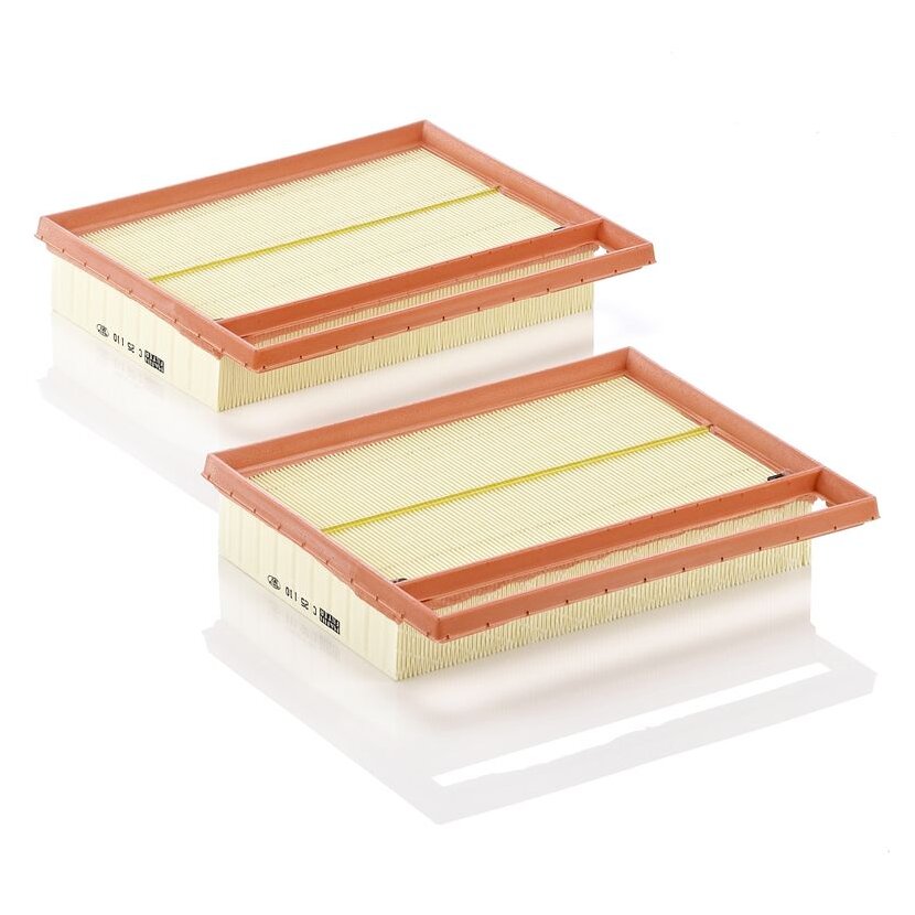 MANN-FILTER Luftfilter C 25 110-2 - C251102 für 275 094 01 04
