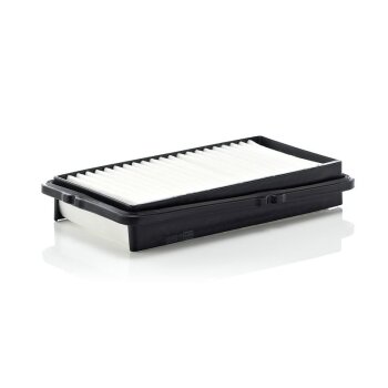 MANN-FILTER Luftfilter C 2537/2 - C2537/2 für...
