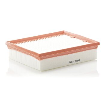 MANN-FILTER Luftfilter C 2548 - C2548 für 16 54 692 29R