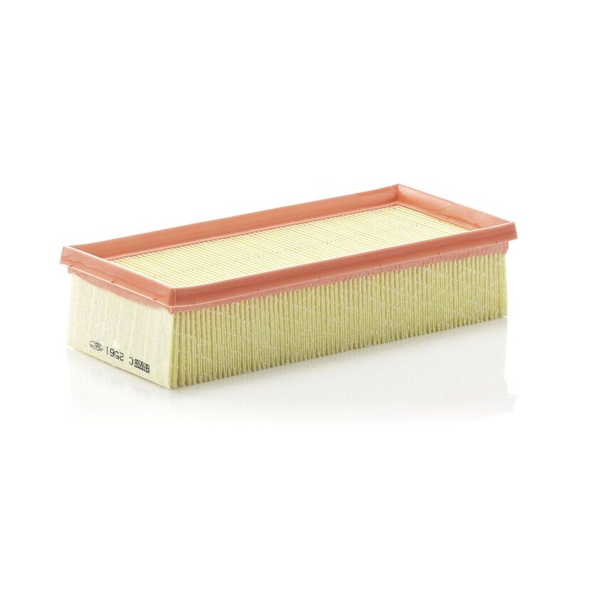 MANN-FILTER Luftfilter C 2561 - C2561 für MR 993130