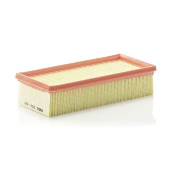 MANN-FILTER Luftfilter C 2561 - C2561 für MR 993130