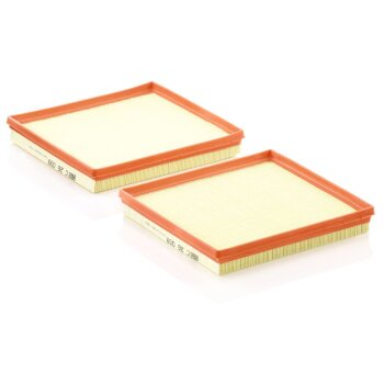 MANN-FILTER Luftfilter C 26 009-2 - C260092 für 629...