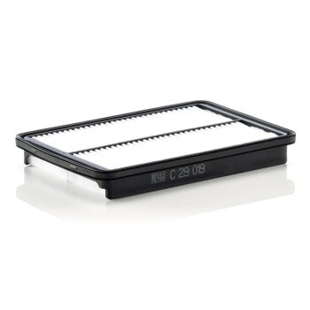 MANN-FILTER Luftfilter C 29 019 - C29019 für...
