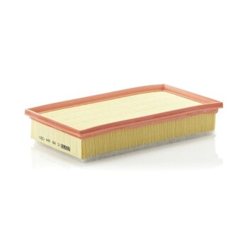 MANN-FILTER Luftfilter C 29 124 - C29124 für 46794403