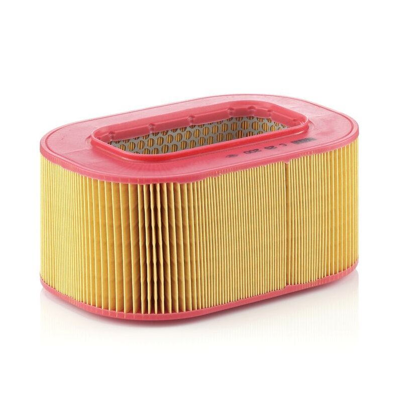 MANN-FILTER Luftfilter C 29 200 - C29200 für 603 094 02 04